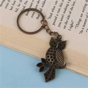 جاکلیدی برنزی جغد